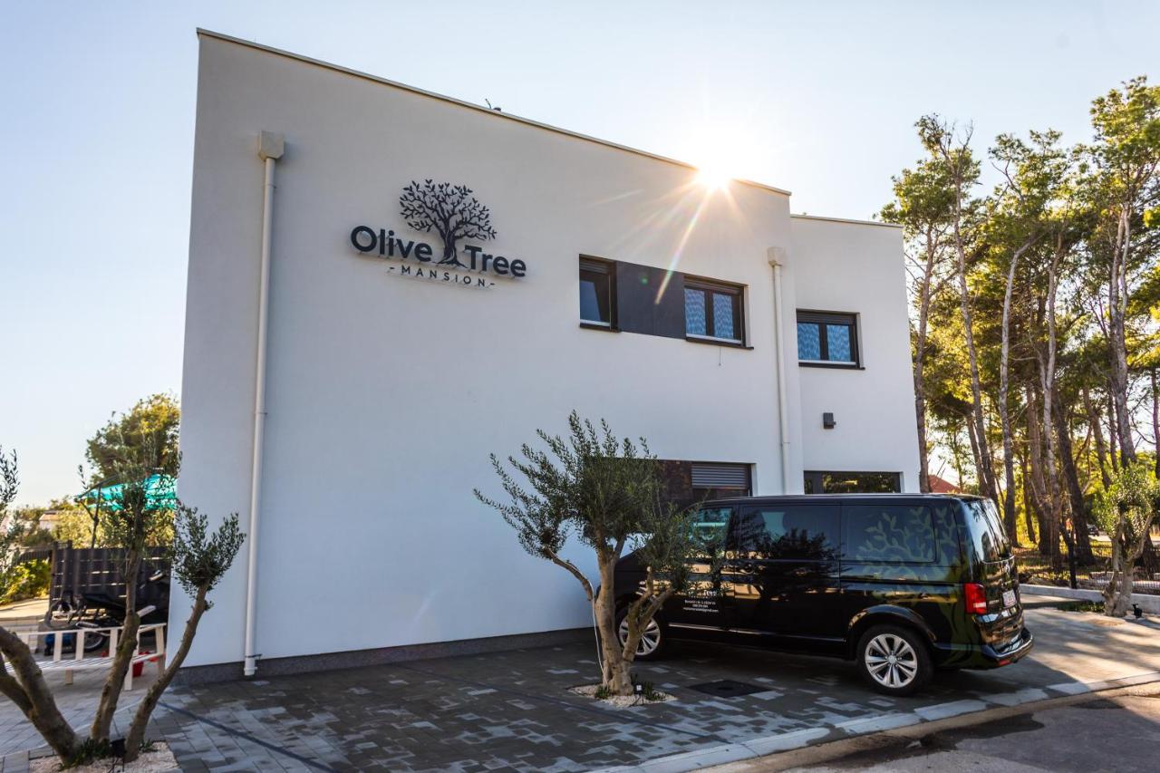 Olive Tree Mansion Διαμέρισμα Vir Εξωτερικό φωτογραφία